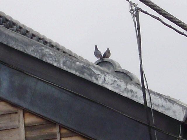 a0166324_1285820.jpg