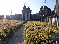 d0086228_1045487.jpg