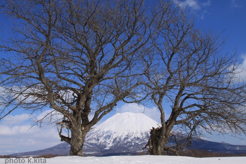 3月　ニセコの風景_a0114629_2153115.jpg