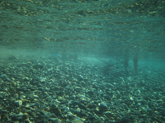 予約完了_c0113733_1412255.jpg