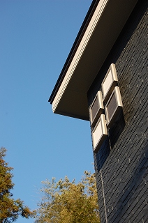b0082242_1736018.jpg
