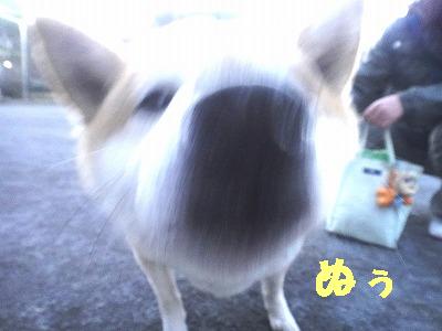 いつものお友達♪_e0195743_292723.jpg