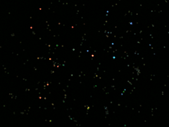 e0005548_144386.gif