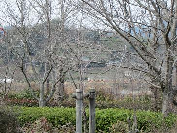 f0064449_0124056.jpg