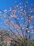 d0006756_9255367.jpg
