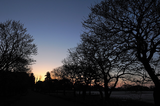 f0222161_1502121.jpg