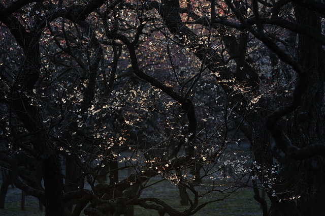 f0222161_15030100.jpg