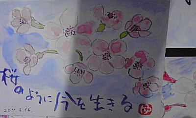 我が家にも桜がサイタ♪_e0136066_022114.jpg