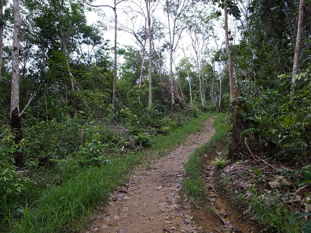 a0067578_79228.jpg