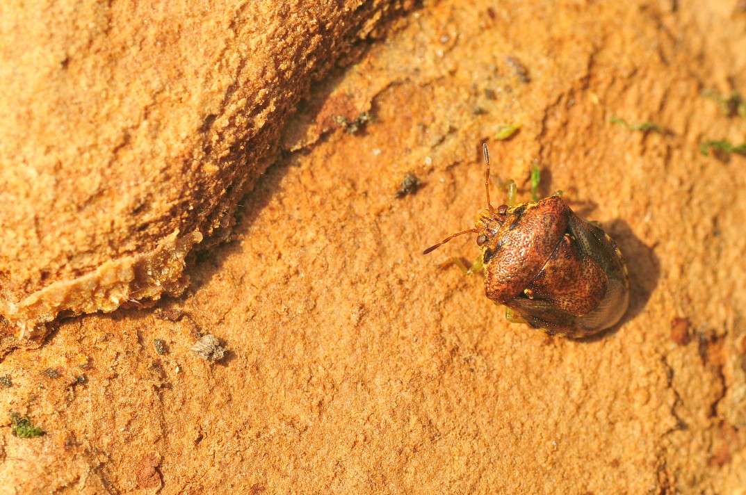 b0123591_17271451.jpg