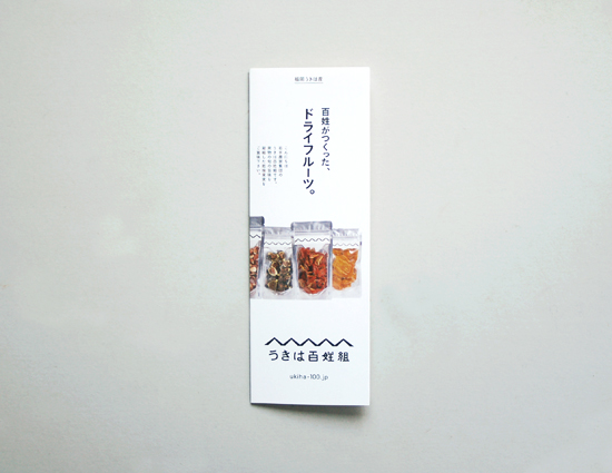 百姓組リーフレットと桃の花見_f0120395_1714484.jpg