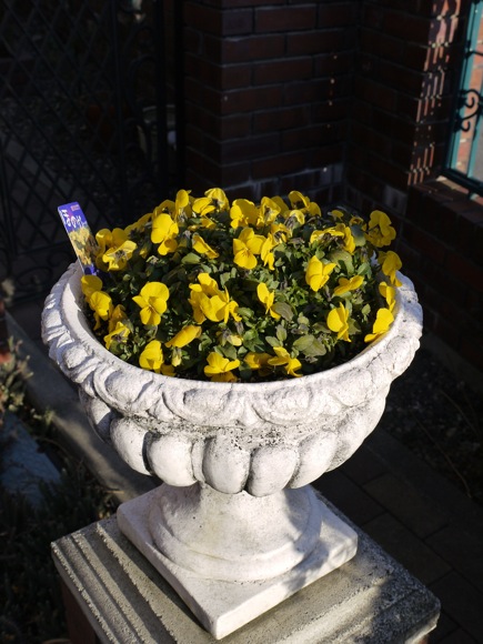 e0163202_19111428.jpg