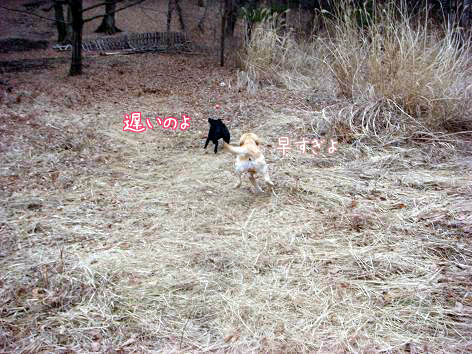 f0064906_10131019.jpg