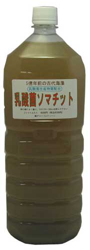 最後の難問、土壌や動植物の放射性汚染はどう防御するか?_e0171614_20541188.jpg
