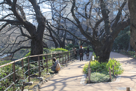 皇居北の丸公園で撮影会_b0114515_21192884.gif