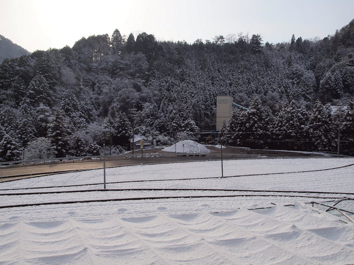 今朝も雪景色_c0116915_2323927.jpg
