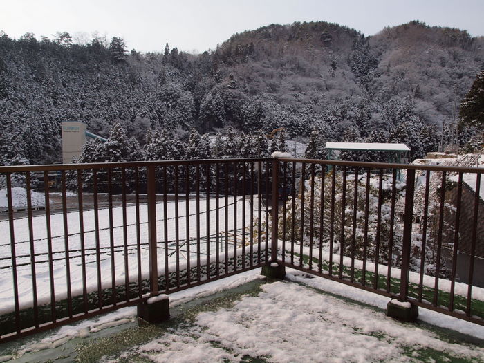 今朝も雪景色_c0116915_23244794.jpg
