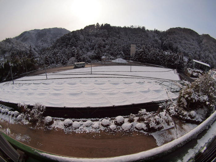今朝も雪景色_c0116915_23252792.jpg
