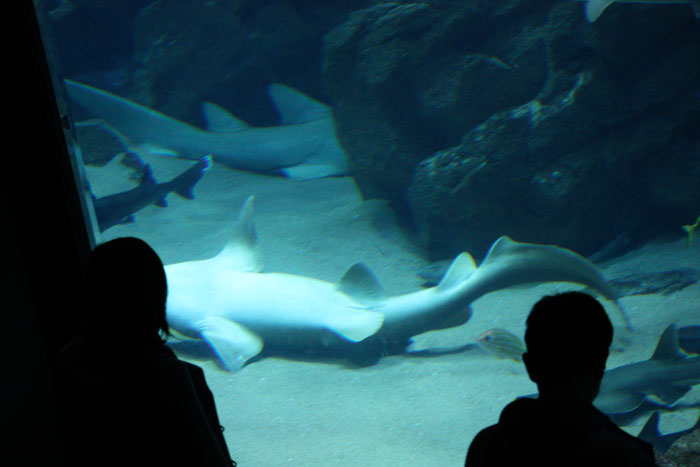c0200118_27314.jpg