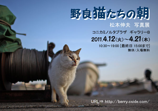 「野良猫たちの朝」松本伸夫写真展_c0194541_9451044.jpg