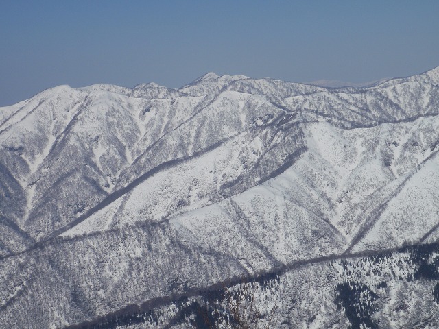 横山岳北西尾根は奥美濃劇場の桟敷席～追悼の墓谷山_c0097754_23225765.jpg