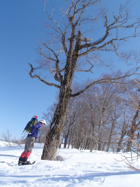 横山岳北西尾根は奥美濃劇場の桟敷席～追悼の墓谷山_c0097754_23244057.jpg