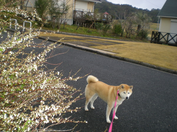 3月26日(土)遼君の初七日_f0060461_20332583.jpg
