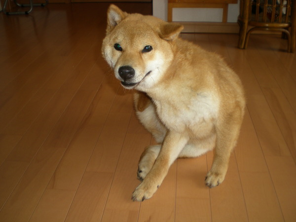 3月26日(土)遼君の初七日_f0060461_20513262.jpg