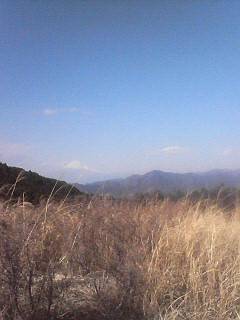 e0204372_2002454.jpg