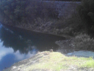 e0204372_20103881.jpg
