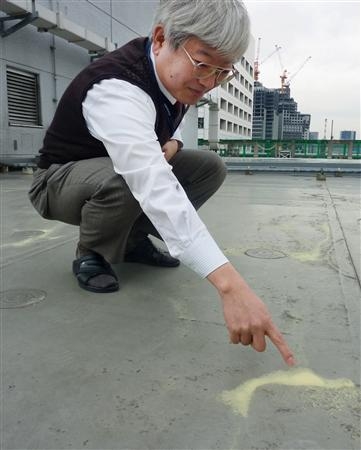 東京で黄色い雨を観測。花粉という言い訳はチェルノブイリの黄色い雨の嘘そのものだ？_c0139575_805685.jpg