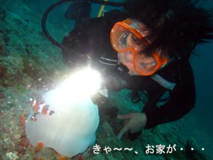 再びピピ島へ!_f0144385_23584148.jpg