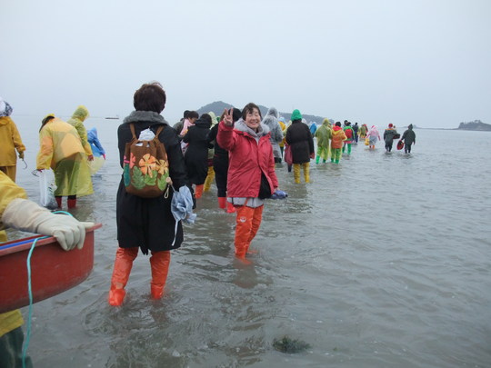 韓国珍島・神秘の海割れ観光２　海割れ本番_b0044296_1053797.jpg