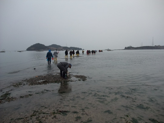 韓国珍島・神秘の海割れ観光２　海割れ本番_b0044296_10581472.jpg