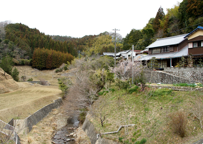 半ぶんっこよ_b0145296_7182999.jpg