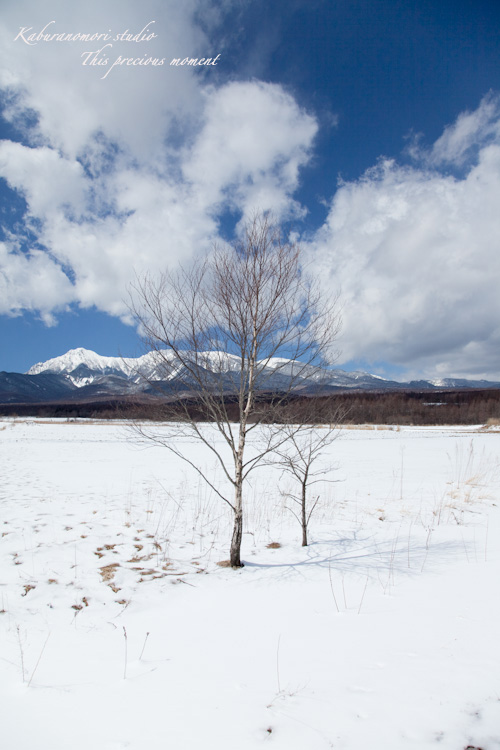 野辺山高原の春は何処_c0137403_18565676.jpg