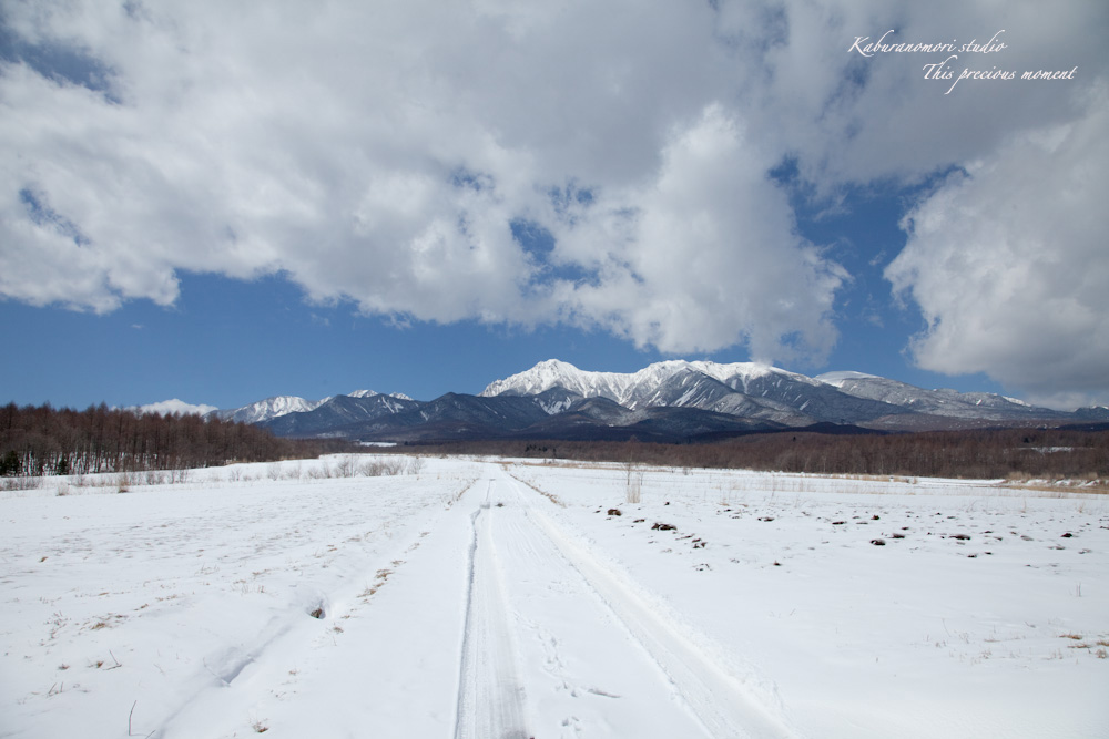 野辺山高原の春は何処_c0137403_18591662.jpg