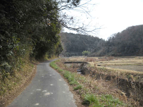 b0000209_018928.gif