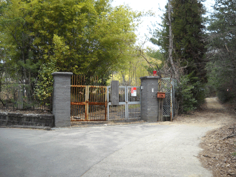b0000209_019172.gif