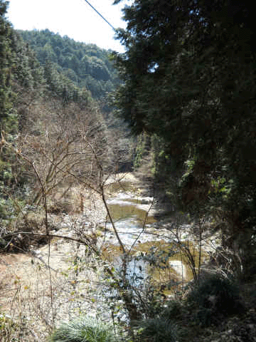 b0000209_0212953.gif