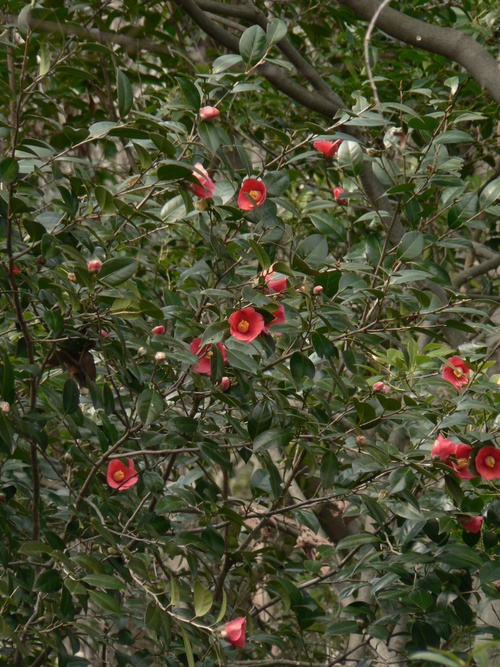 f0219710_833524.jpg