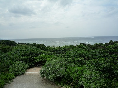 d0224712_1029564.jpg