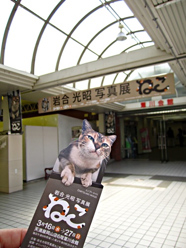 岩合光昭写真展　”ねこ”_a0182113_23231325.jpg