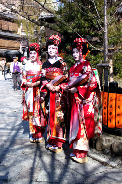 京の花だより 祇園白川_e0048413_16321183.jpg