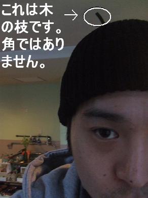 c0229214_1612672.jpg