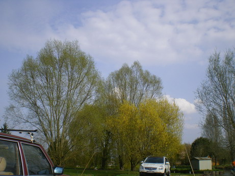 c0124619_45568.jpg