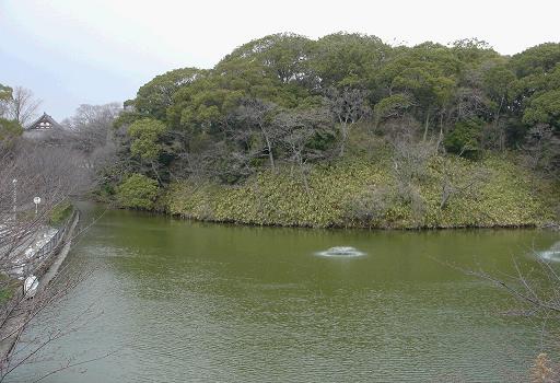 f0000521_40196.jpg