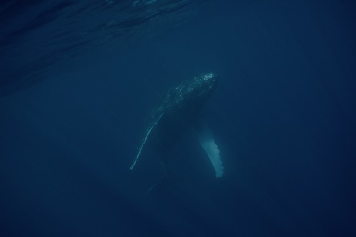 f0206424_18323119.jpg