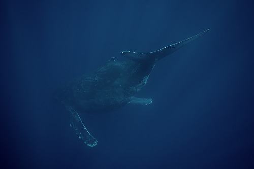 f0206424_18334849.jpg