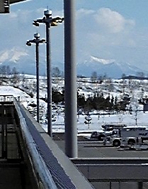 a0108328_14491367.jpg